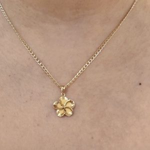 Chain and charm 14k
